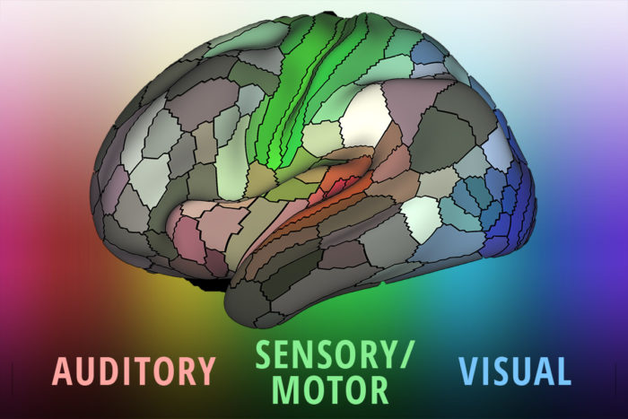 parcellation_cortex