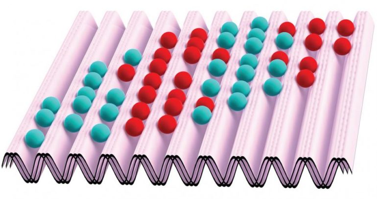 In the experiment that witnessed a phase transition of quantum cesium atoms, an optical lattice lined the atoms up in patterns based on their positive or negative momentum. The lattice was shaken to drive the atoms across the phase transition and divide into different domains. (Credit: Cheng Chin et al. via U. Chicago)